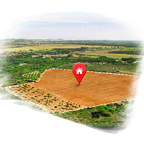 Plots | Sites